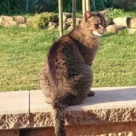 Rieslingstube Bei Britta & Joachim Lägenhet