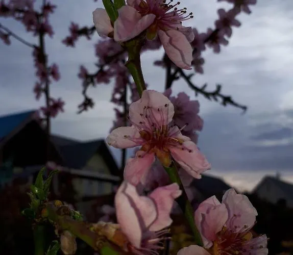 Rieslingstube Bei Britta & Joachim Apartamento Undenheim