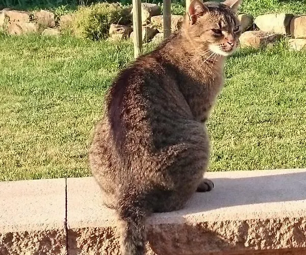 Rieslingstube Bei Britta & Joachim Apartamento
